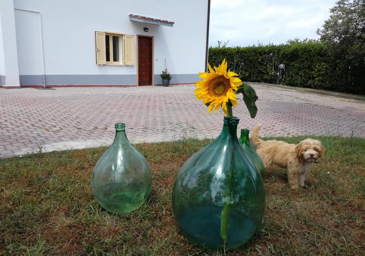 Casa Amrita, Yoga B&B Терамо Экстерьер фото